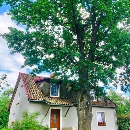 Willa Pod Debem Koczarki Bagian luar foto